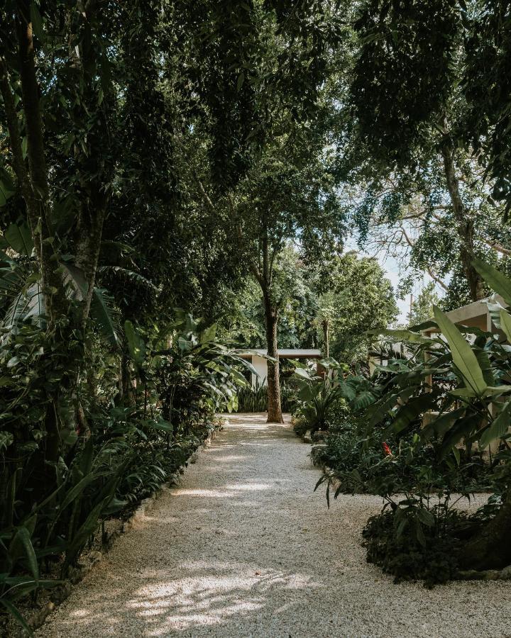 Casona Los Cedros Espita Eksteriør bilde